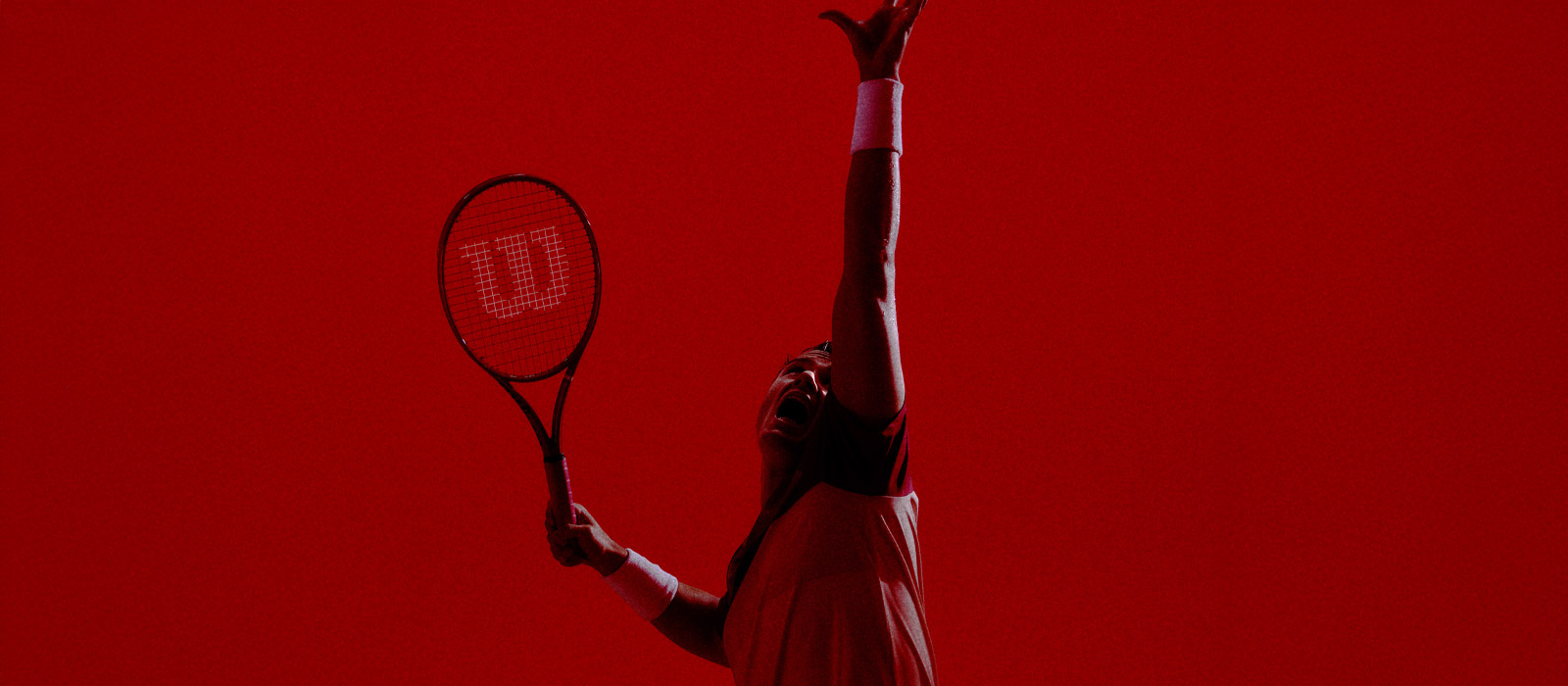 Wilson Defyer